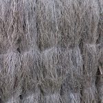 architecture-bruyere-design-brande-dans