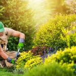 amenagement-paysagiste-avantages-jardin